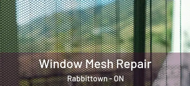 Window Mesh Repair Rabbittown - ON