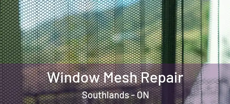 Window Mesh Repair Southlands - ON