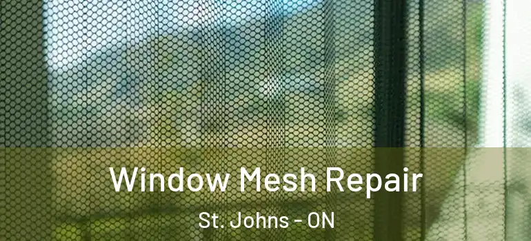 Window Mesh Repair St. Johns - ON