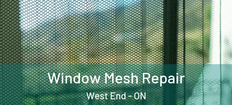  Window Mesh Repair West End - ON