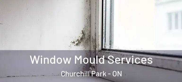 Window Mould Services Churchill Park - ON