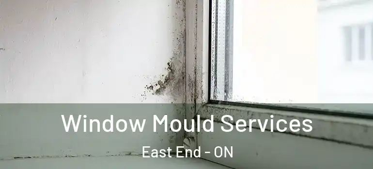  Window Mould Services East End - ON