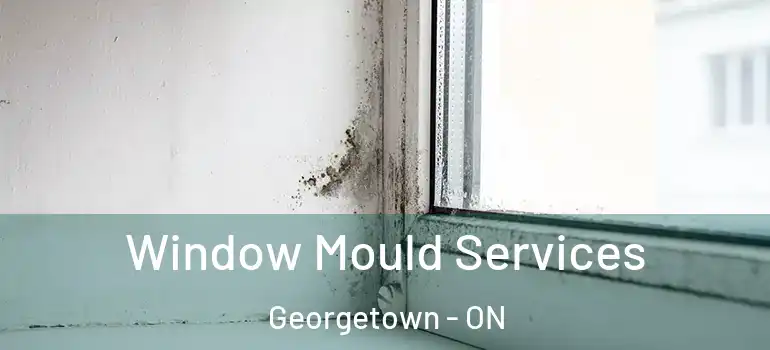 Window Mould Services Georgetown - ON