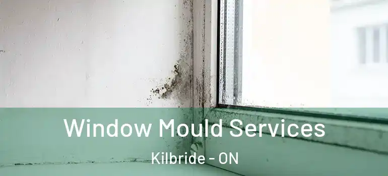 Window Mould Services Kilbride - ON