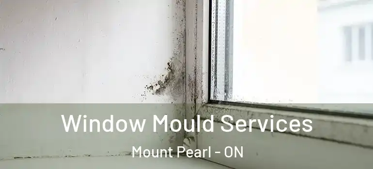 Window Mould Services Mount Pearl - ON