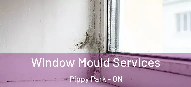 Window Mould Services Pippy Park - ON