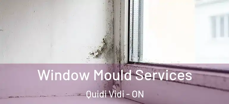 Window Mould Services Quidi Vidi - ON