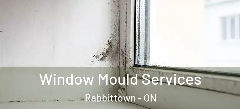  Window Mould Services Rabbittown - ON