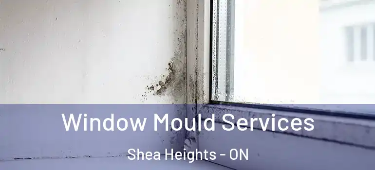 Window Mould Services Shea Heights - ON