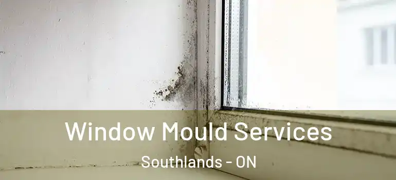 Window Mould Services Southlands - ON