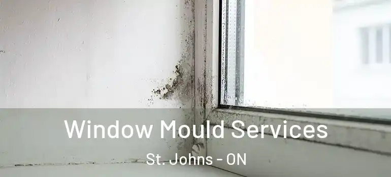 Window Mould Services St. Johns - ON