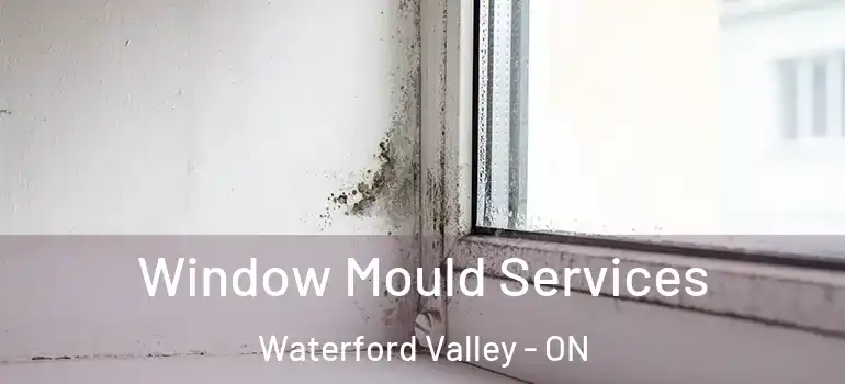 Window Mould Services Waterford Valley - ON