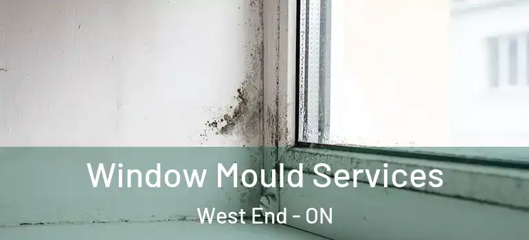 Window Mould Services West End - ON