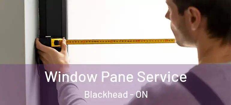  Window Pane Service Blackhead - ON