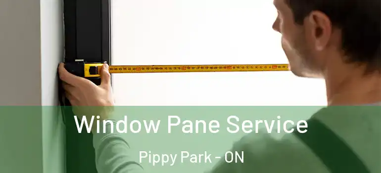 Window Pane Service Pippy Park - ON
