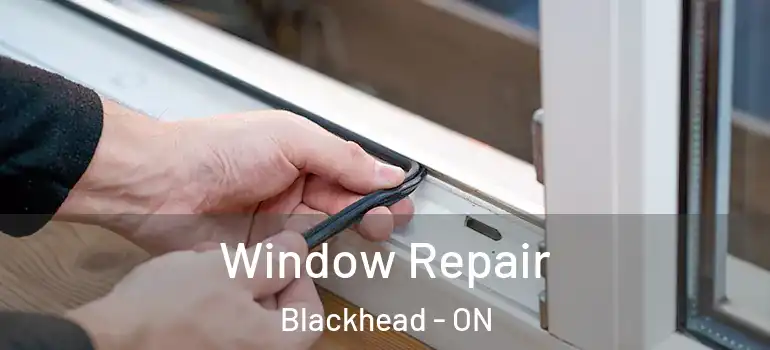  Window Repair Blackhead - ON