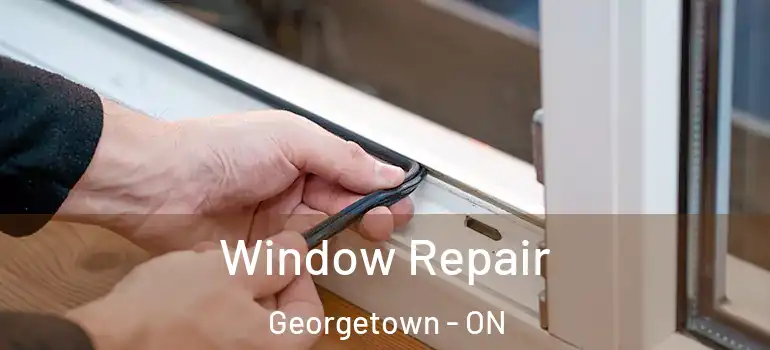Window Repair Georgetown - ON