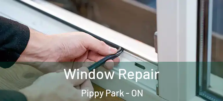  Window Repair Pippy Park - ON