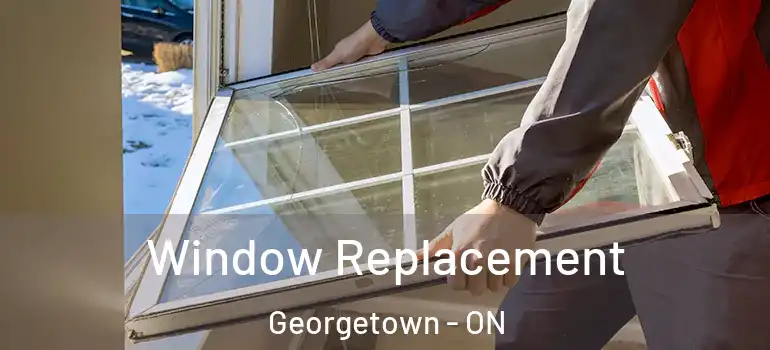  Window Replacement Georgetown - ON