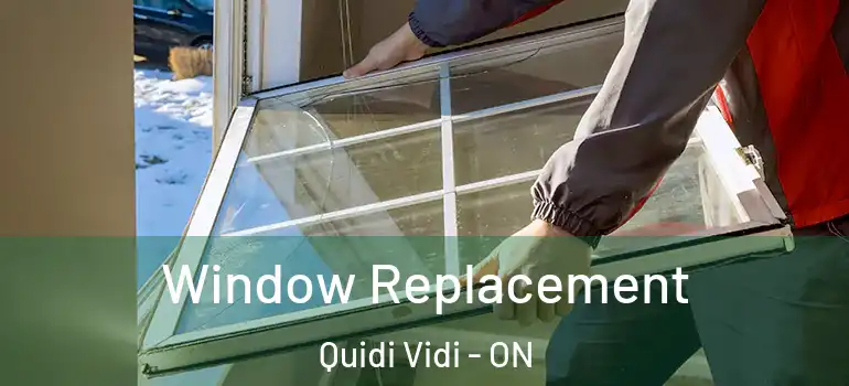 Window Replacement Quidi Vidi - ON