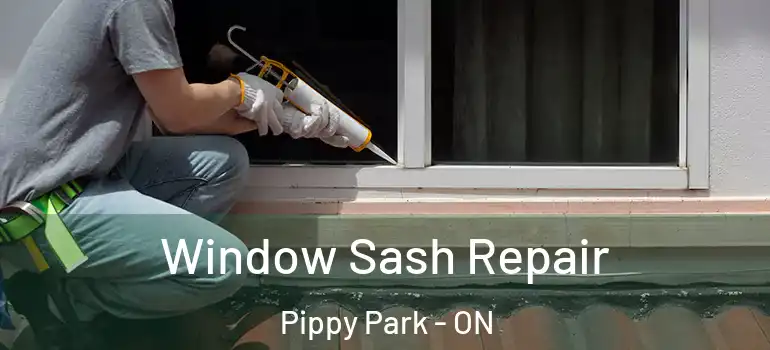 Window Sash Repair Pippy Park - ON