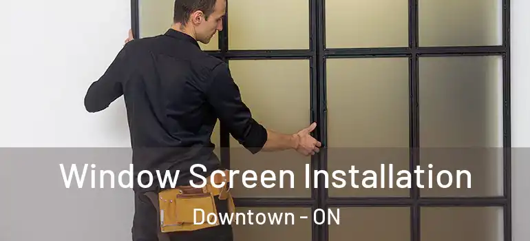 Window Screen Installation Downtown - ON