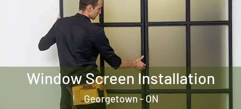  Window Screen Installation Georgetown - ON