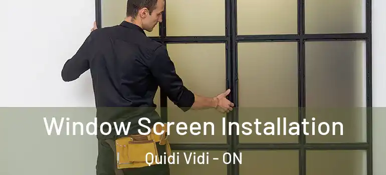  Window Screen Installation Quidi Vidi - ON