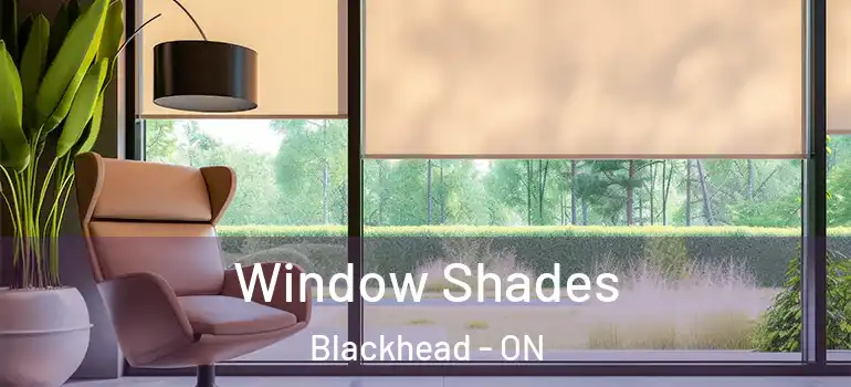Window Shades Blackhead - ON