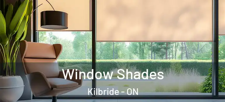 Window Shades Kilbride - ON