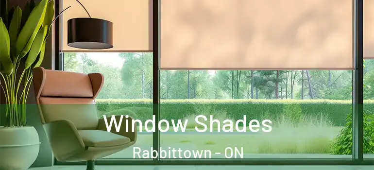 Window Shades Rabbittown - ON