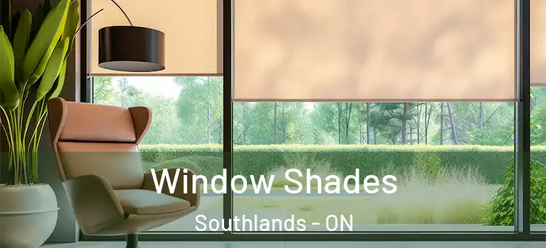  Window Shades Southlands - ON