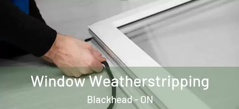 Window Weatherstripping Blackhead - ON