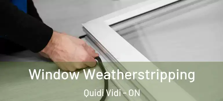 Window Weatherstripping Quidi Vidi - ON