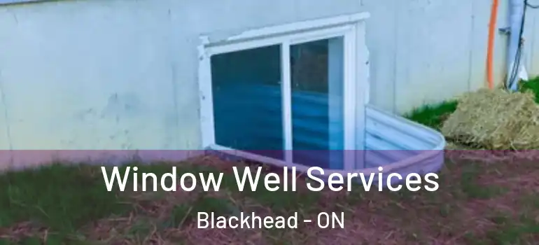 Window Well Services Blackhead - ON