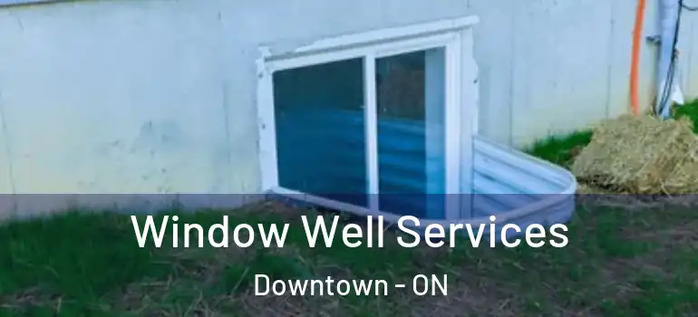 Window Well Services Downtown - ON