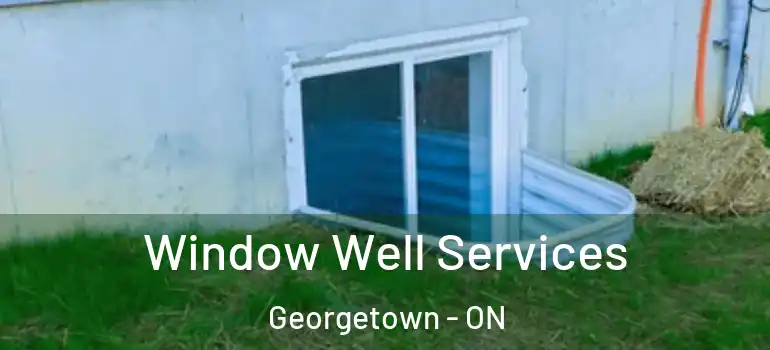  Window Well Services Georgetown - ON