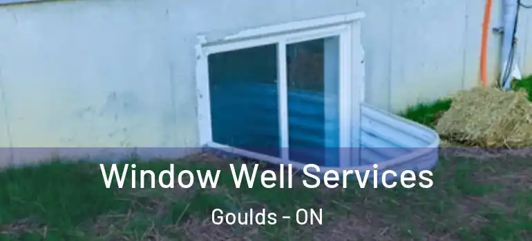 Window Well Services Goulds - ON