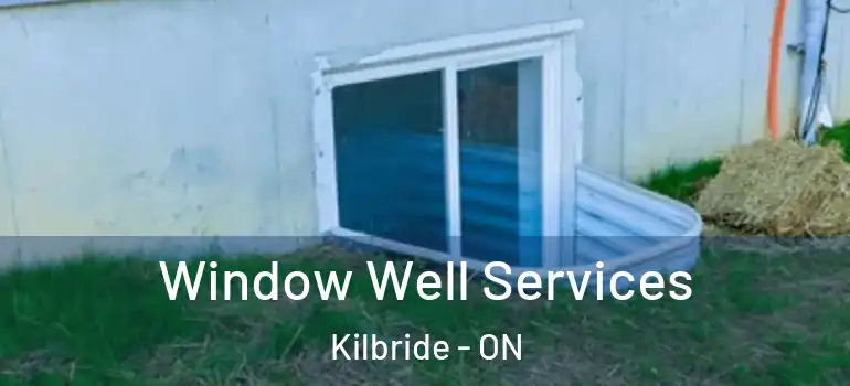 Window Well Services Kilbride - ON