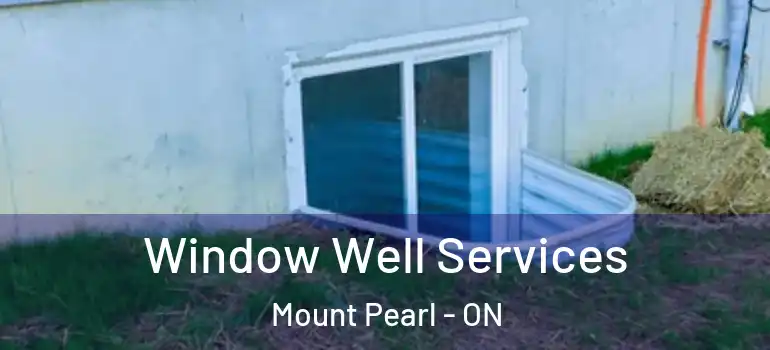 Window Well Services Mount Pearl - ON