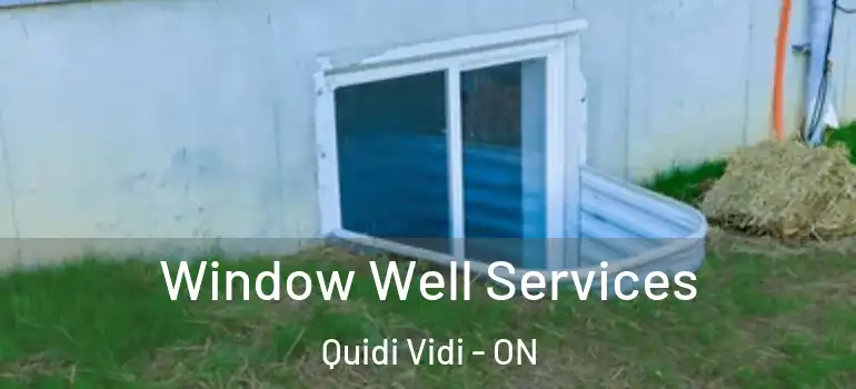  Window Well Services Quidi Vidi - ON