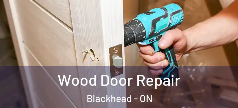Wood Door Repair Blackhead - ON