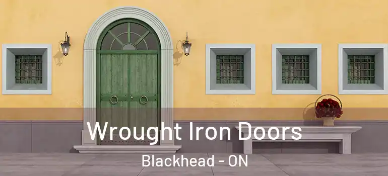 Wrought Iron Doors Blackhead - ON